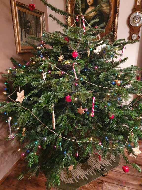 Plebiscyt na najładniejszą świąteczną dekorację