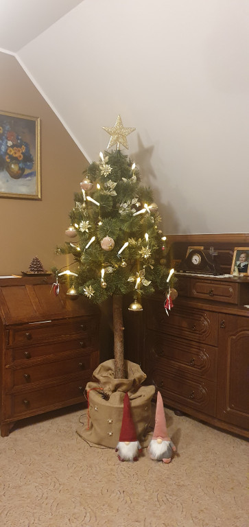 Plebiscyt na najładniejszą świąteczną dekorację