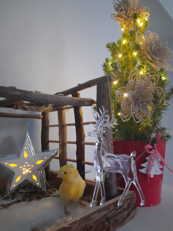 Plebiscyt na najładniejszą świąteczną dekorację