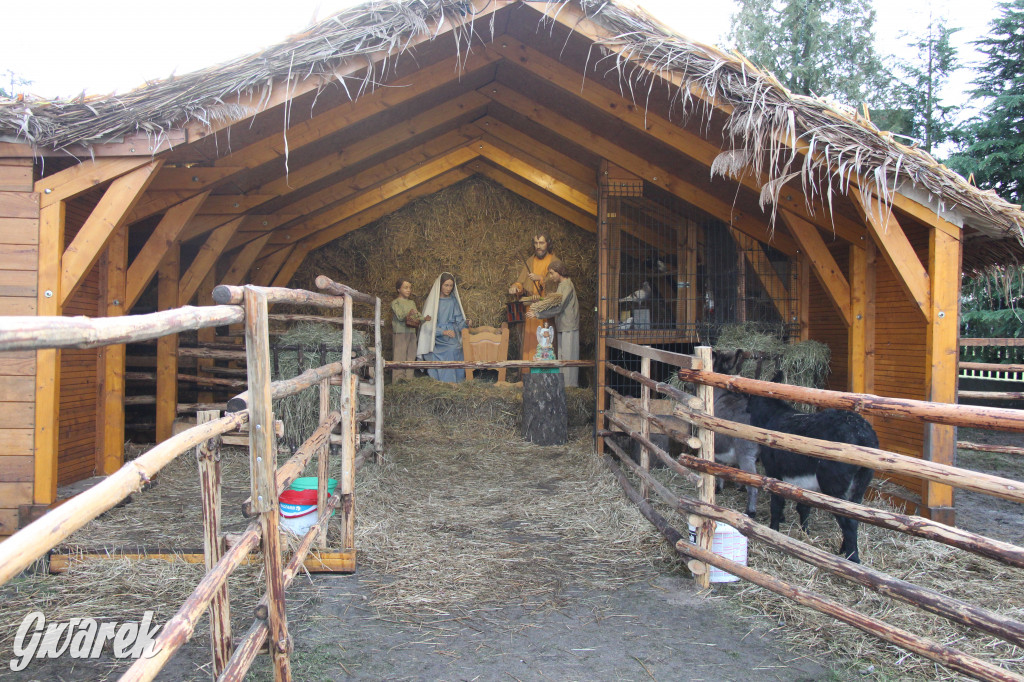 Żywa szopka w Świniowicach