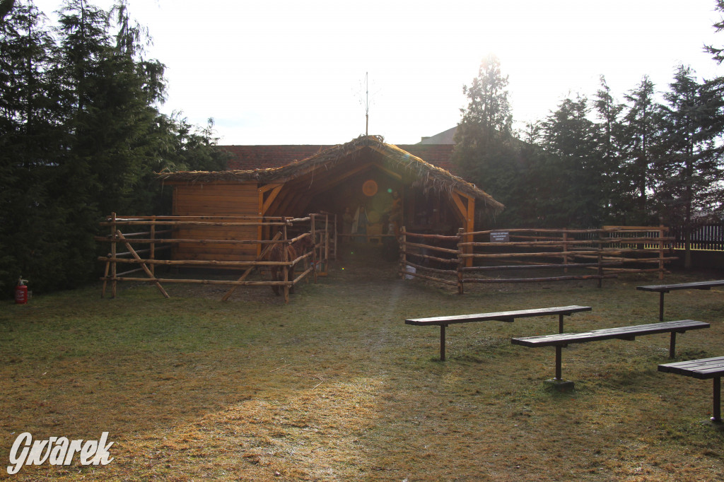 Żywa szopka w Świniowicach