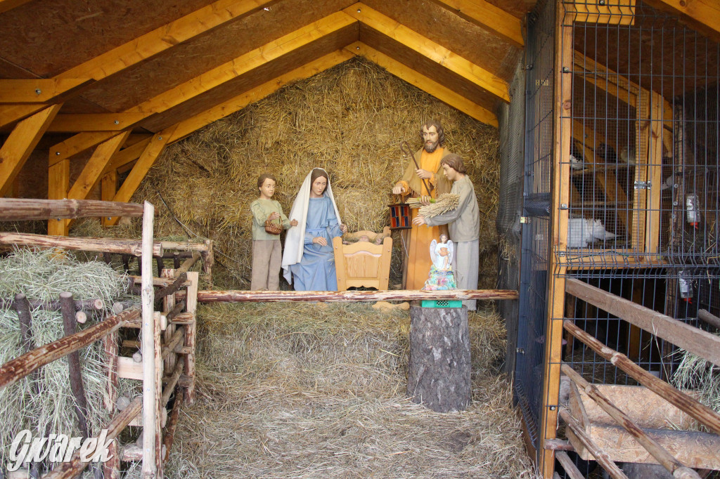 Żywa szopka w Świniowicach