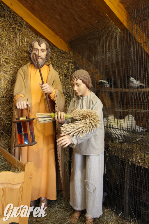 Żywa szopka w Świniowicach