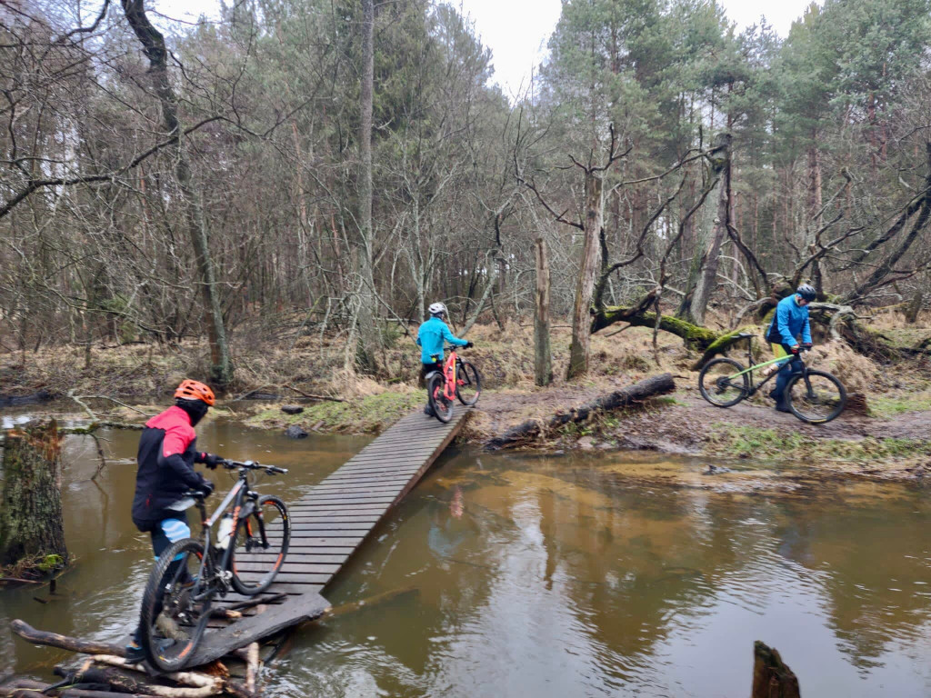 Bieg z Trzema Królami. Z Radzionkowa do Woźnik