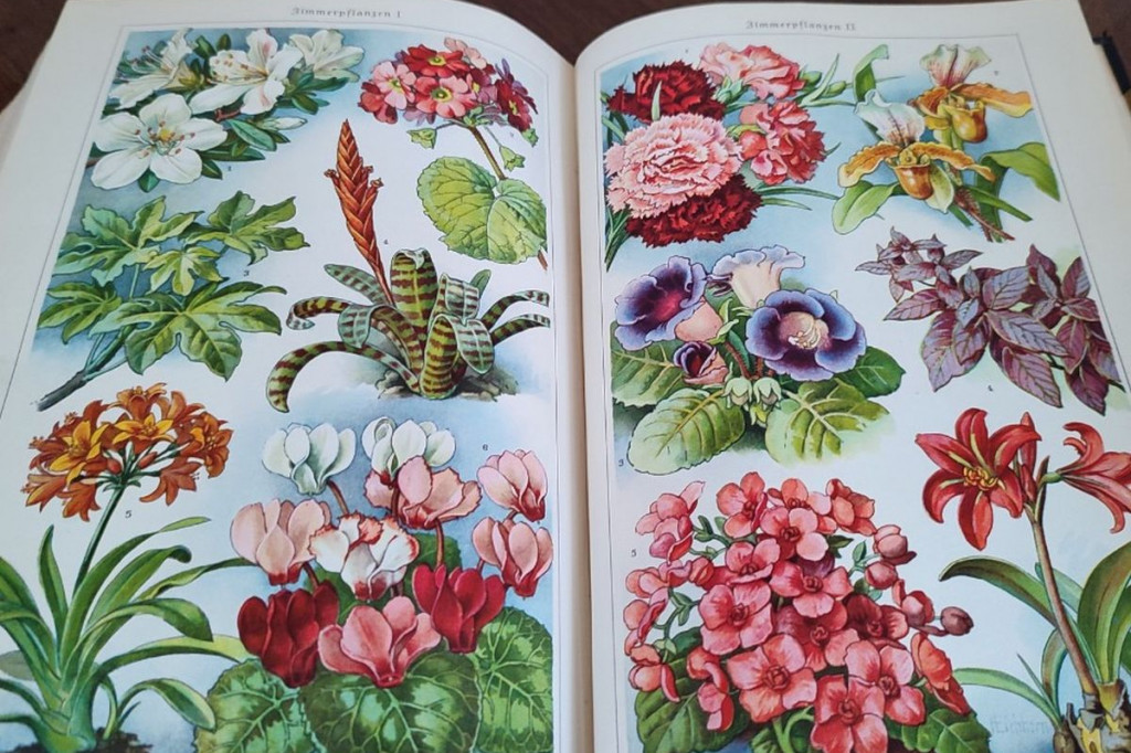 15-tomowy prezent na Nowy Rok