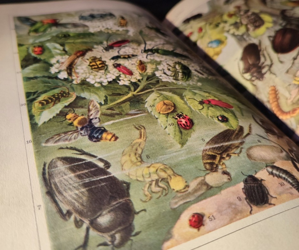 15-tomowy prezent na Nowy Rok