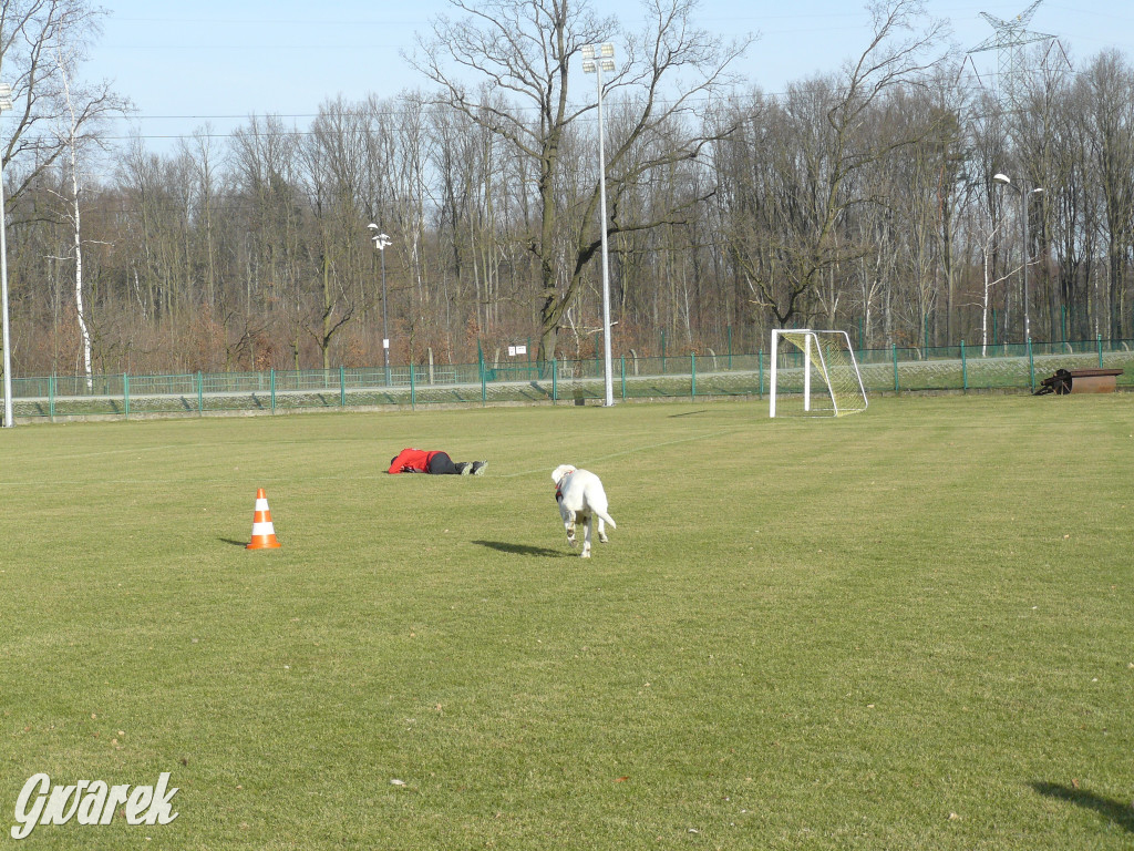 Pokazali na co ich stać i pobiegli dla Olka