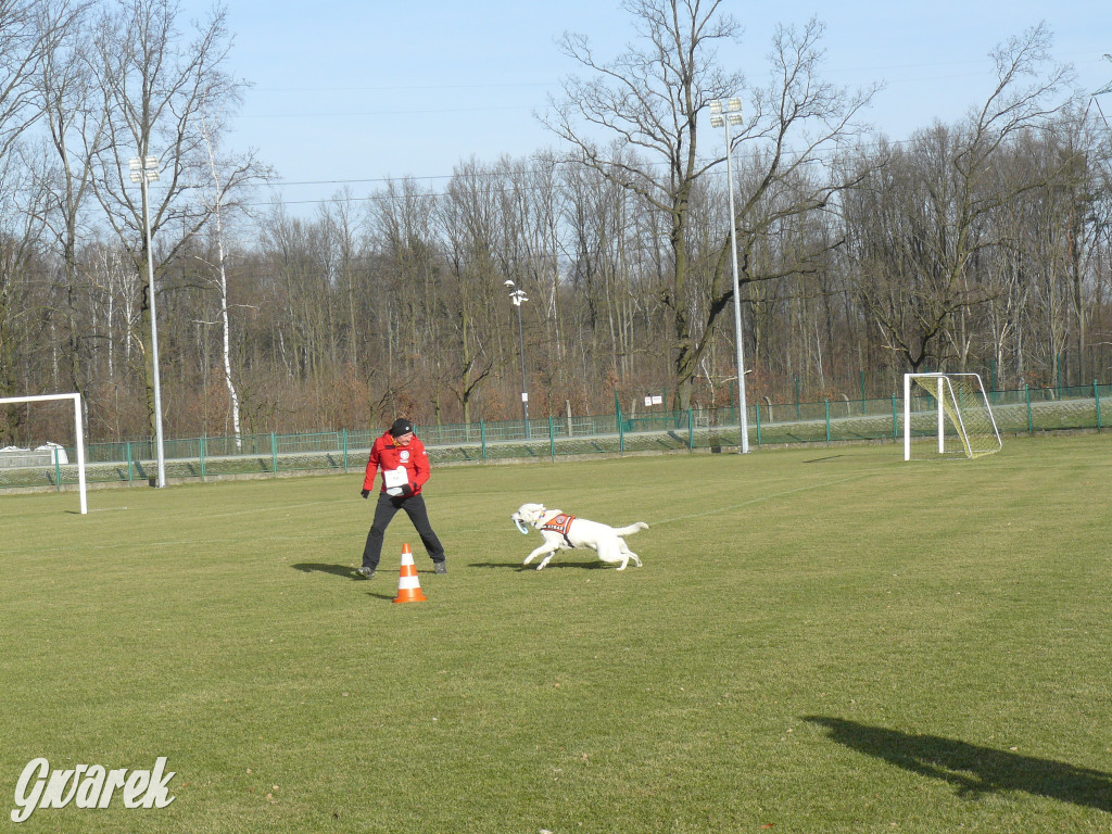 Pokazali na co ich stać i pobiegli dla Olka