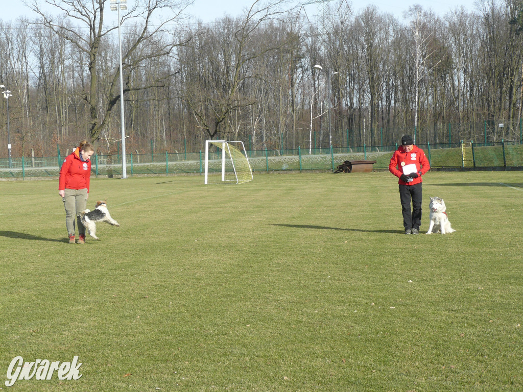 Pokazali na co ich stać i pobiegli dla Olka