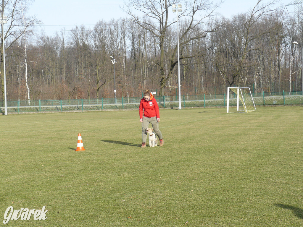 Pokazali na co ich stać i pobiegli dla Olka