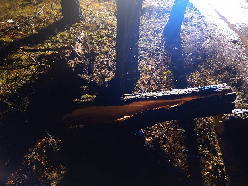 Nadia szaleje w powiecie. Interwencje straży