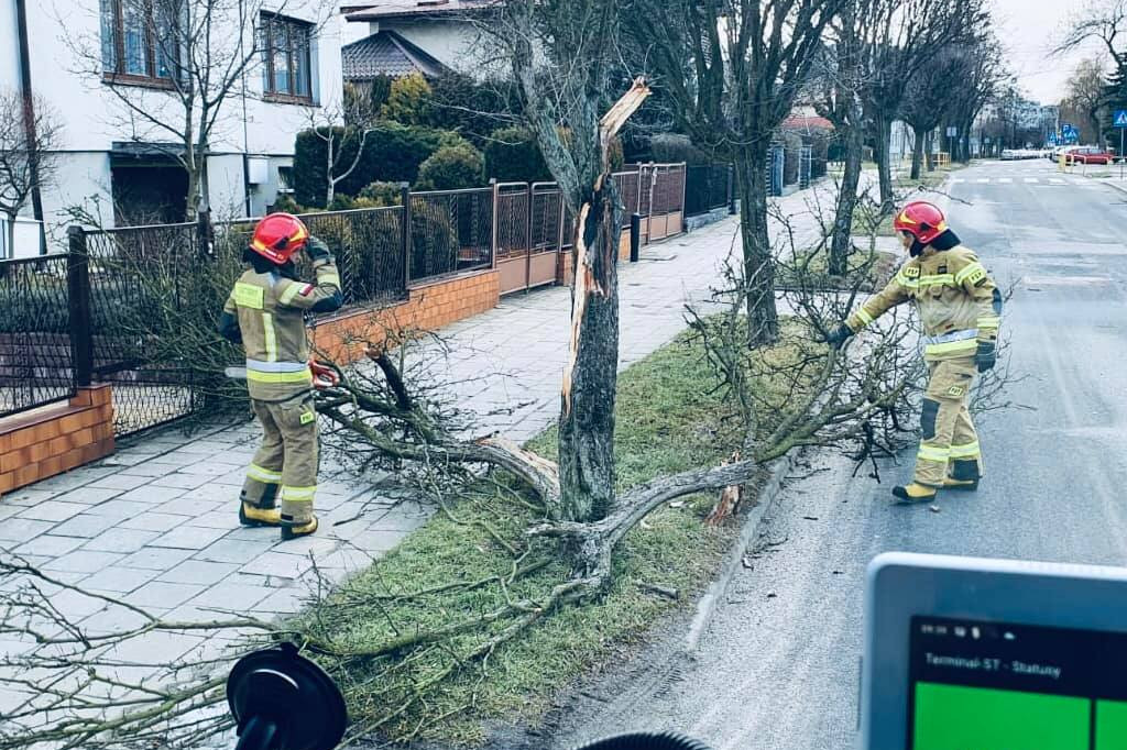 Wiatr robi szkody w powiecie