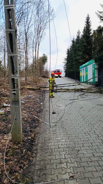 Wiatr robi szkody w powiecie
