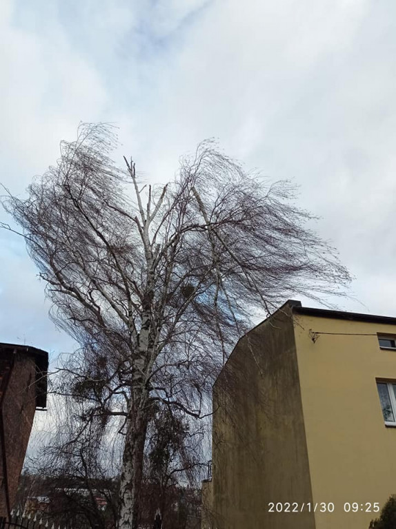 Wiatr przewrócił blaszany garaż