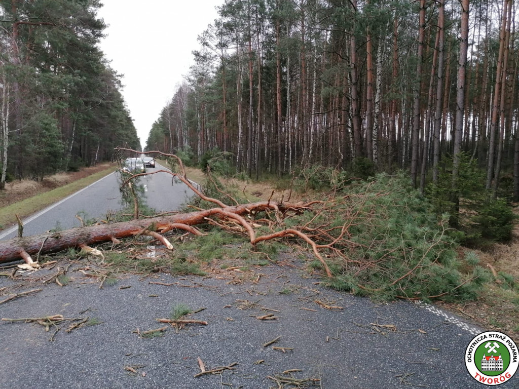 Skutki wichury w powiecie tarnogórskim