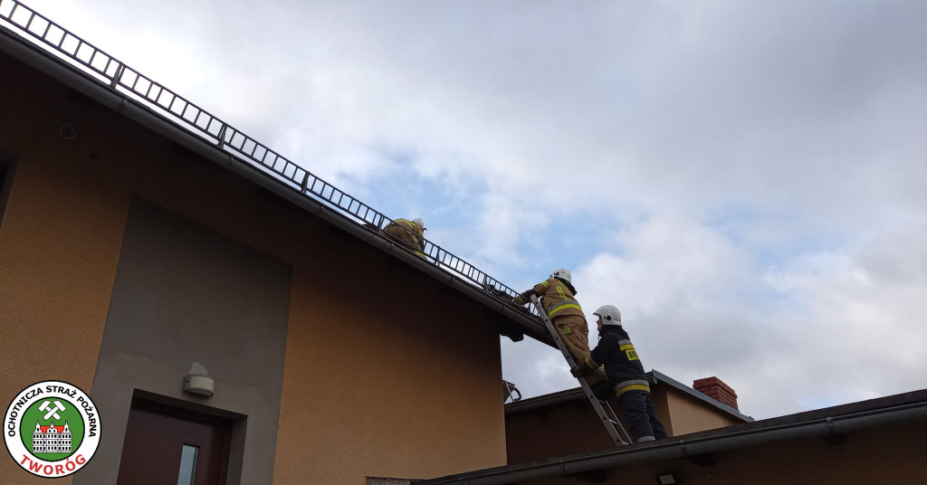 Skutki wichury w powiecie tarnogórskim