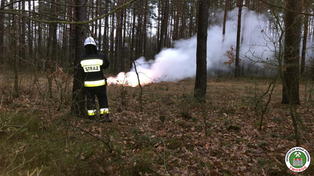 Skutki wichury w powiecie tarnogórskim