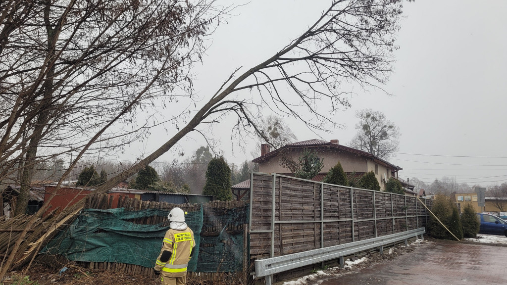 Skutki wichury w powiecie tarnogórskim