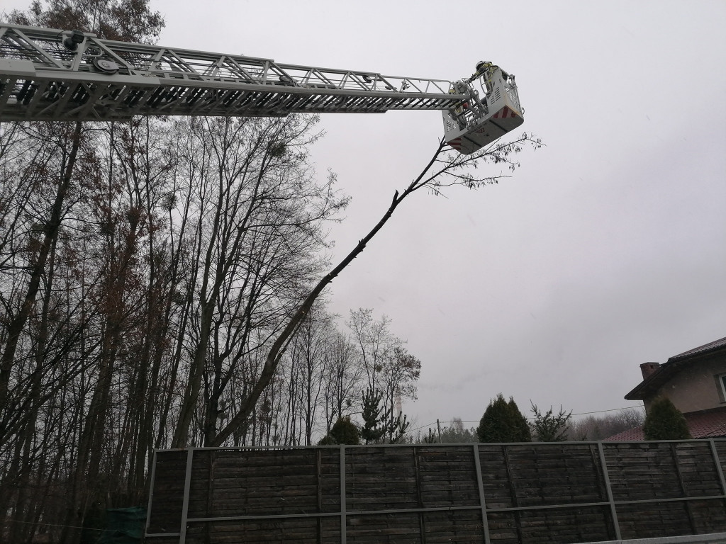 Skutki wichury w powiecie tarnogórskim