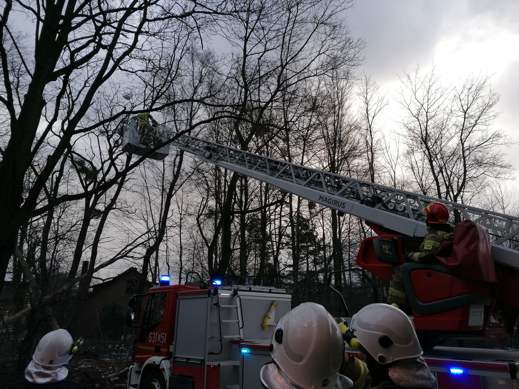 Skutki wichury w powiecie tarnogórskim
