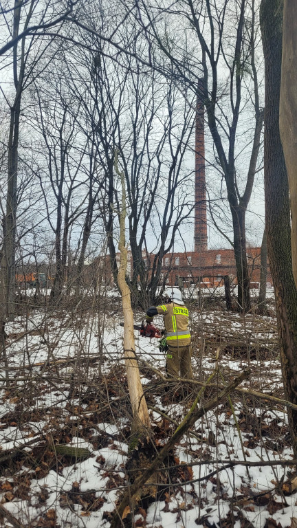 Skutki wichury w powiecie tarnogórskim