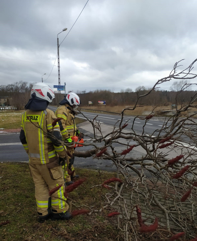 Skutki wichury w powiecie tarnogórskim