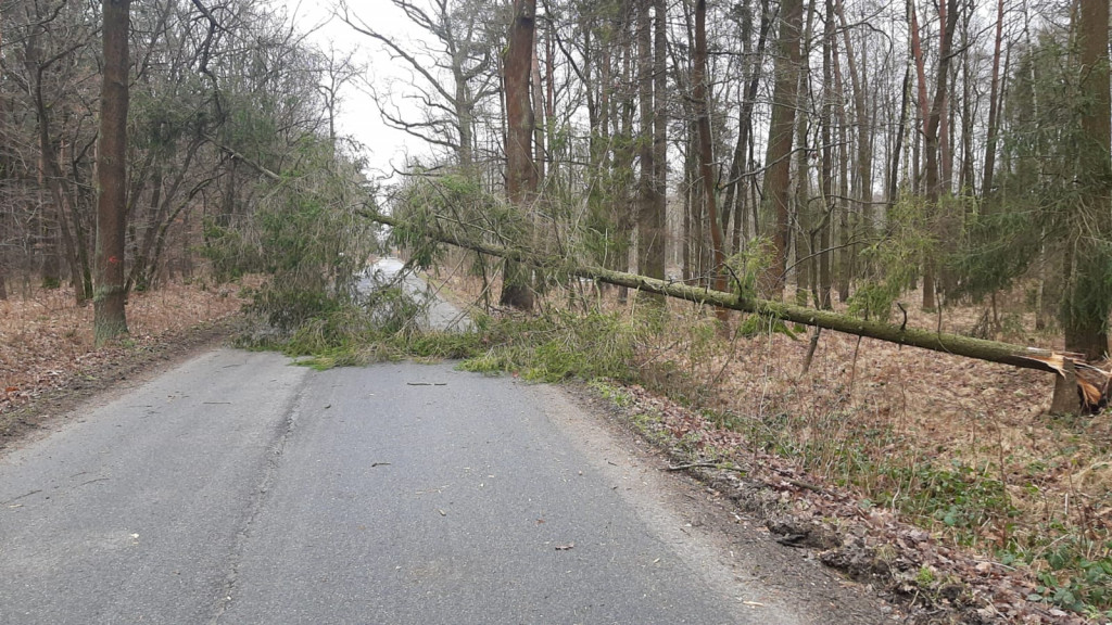 Skutki wichury w powiecie tarnogórskim
