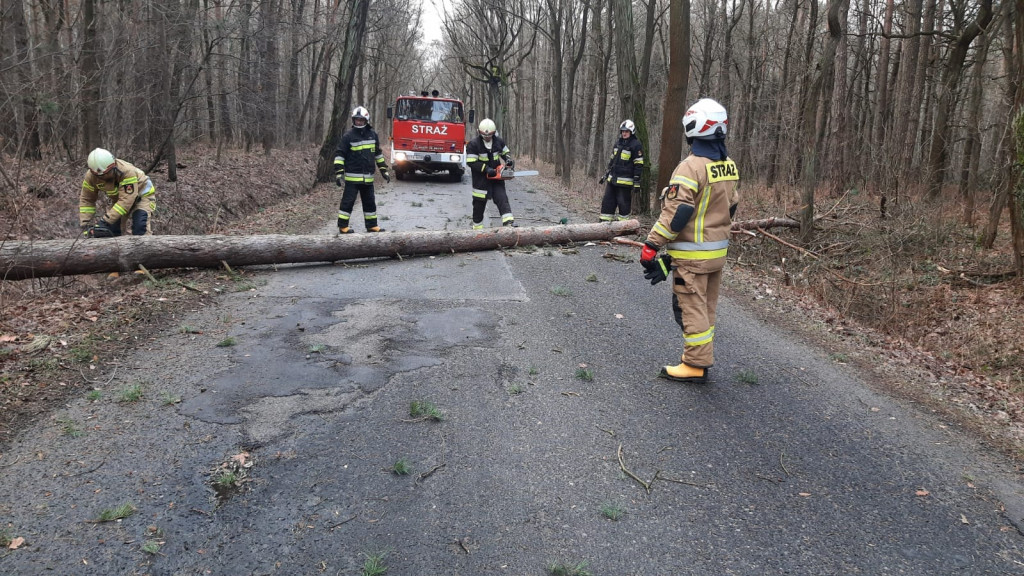 Skutki wichury w powiecie tarnogórskim