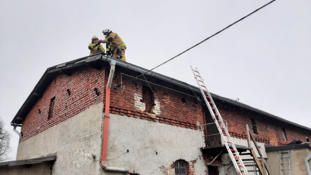 Skutki wichury w powiecie tarnogórskim