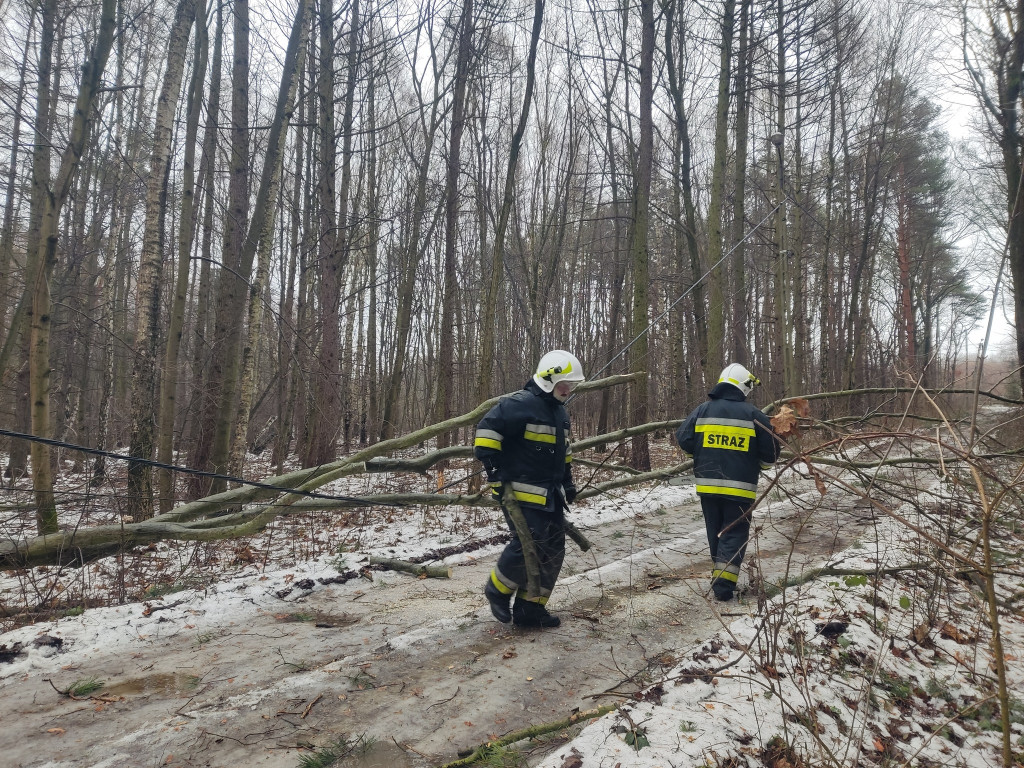 Skutki wichury w powiecie tarnogórskim