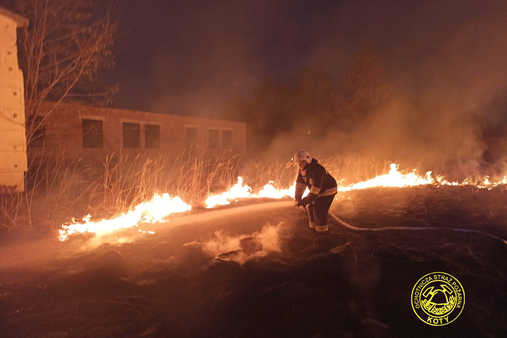 Pożar trawy, na miejscu strażacy z OSP