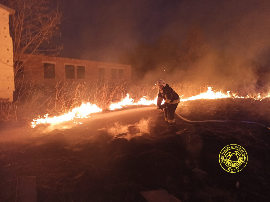 Pożar trawy, na miejscu strażacy z OSP