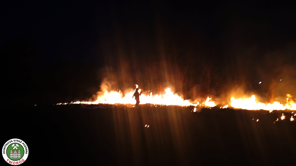 Pożar trawy, na miejscu strażacy z OSP