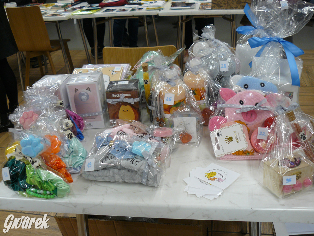 Aukcje, loteria, występy. Wszystko dla szczeniaków