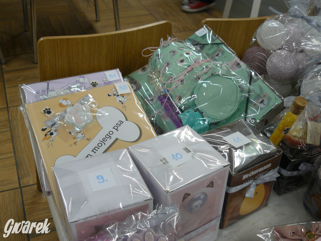 Aukcje, loteria, występy. Wszystko dla szczeniaków