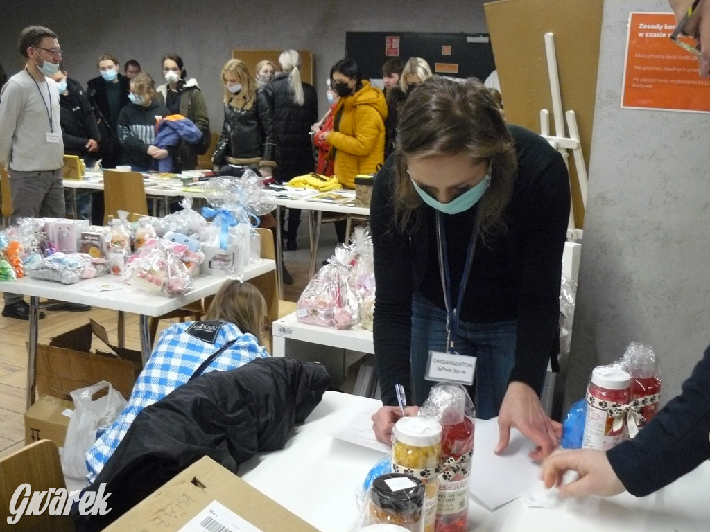 Aukcje, loteria, występy. Wszystko dla szczeniaków