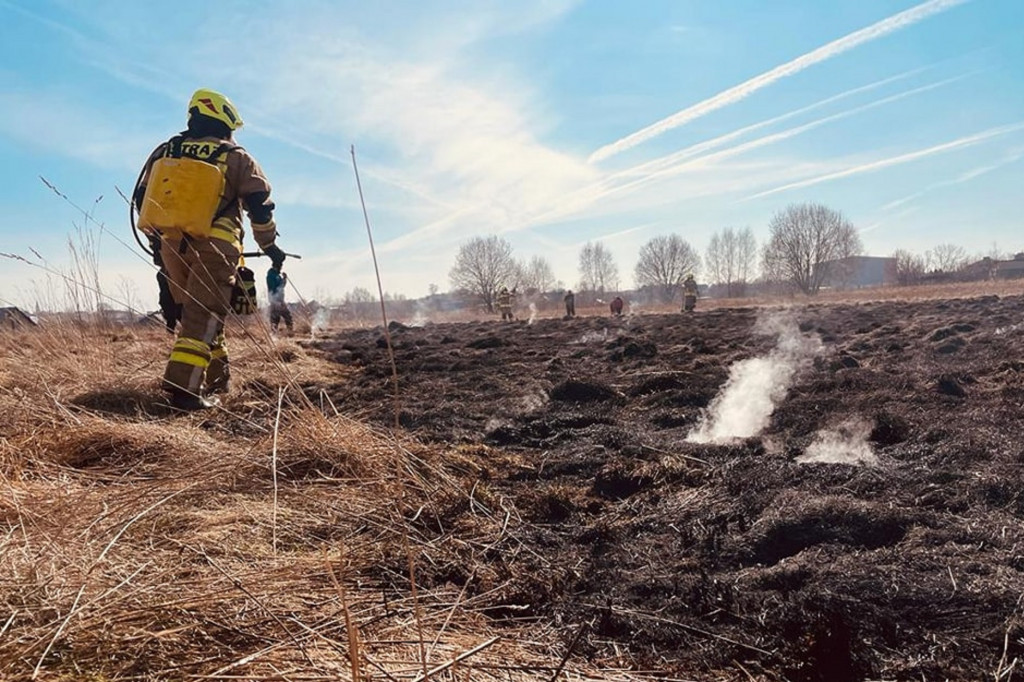 Pożary traw. Sobotnia kumulacja