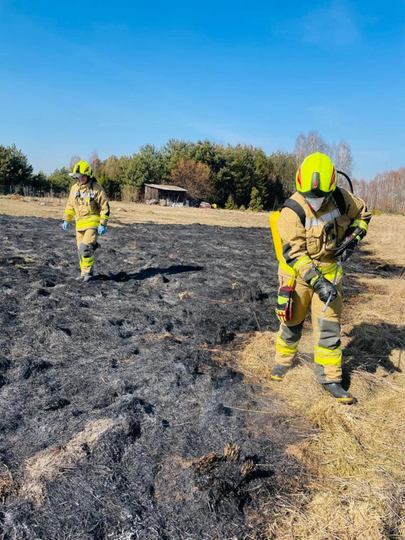 Pożary traw. Sobotnia kumulacja
