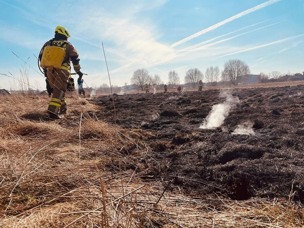 Pożary traw. Sobotnia kumulacja