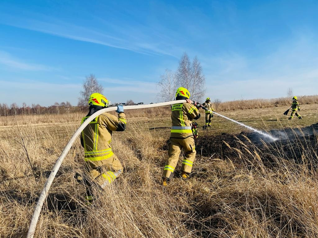 Pożary traw. Sobotnia kumulacja