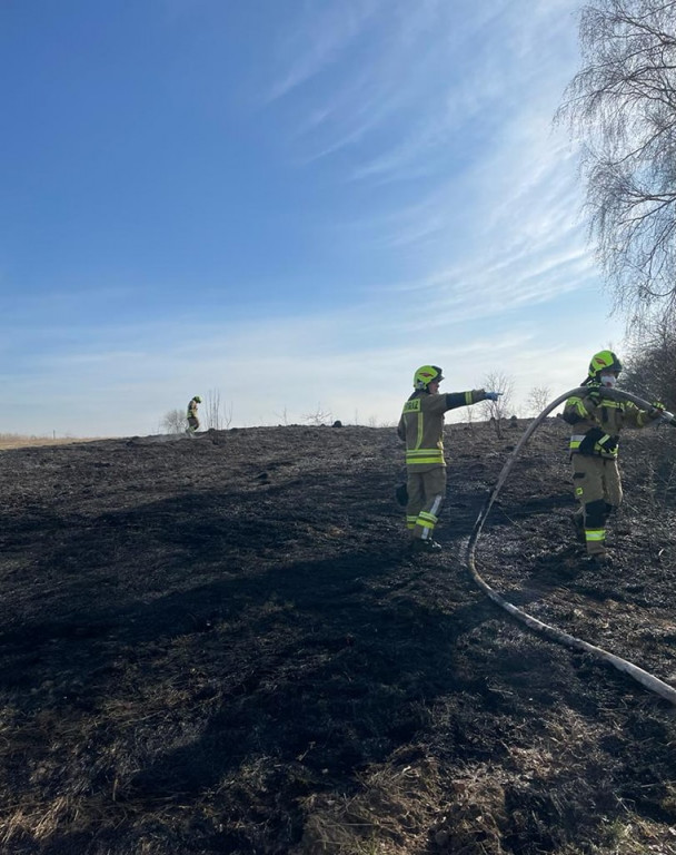 Pożary traw. Sobotnia kumulacja