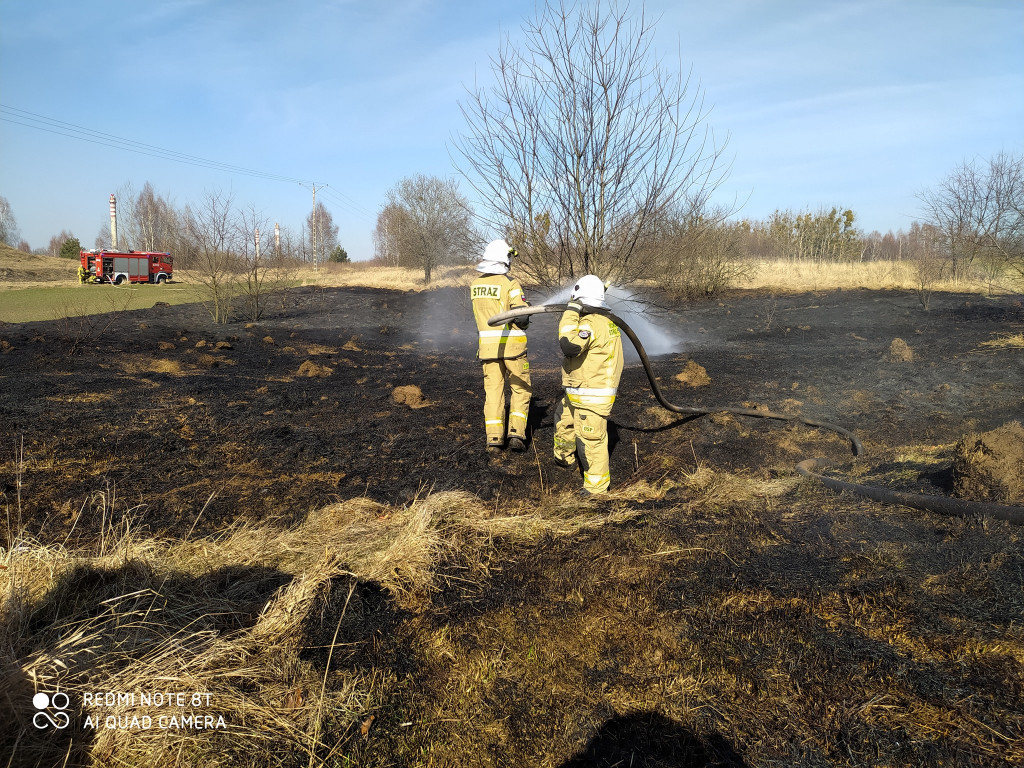 Pożary traw. Sobotnia kumulacja