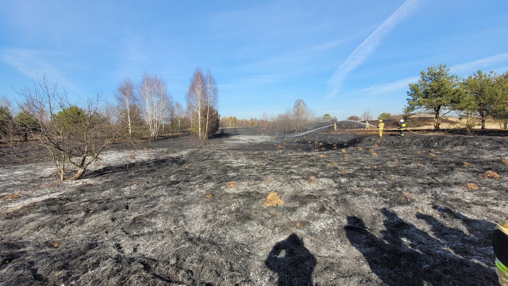 Pożary traw. Sobotnia kumulacja