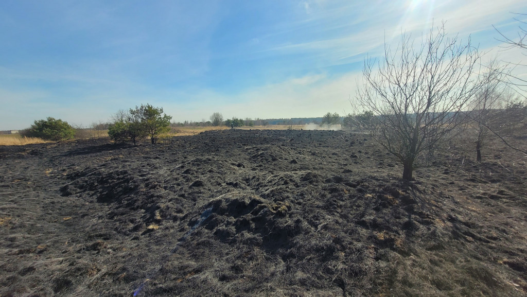 Pożary traw. Sobotnia kumulacja