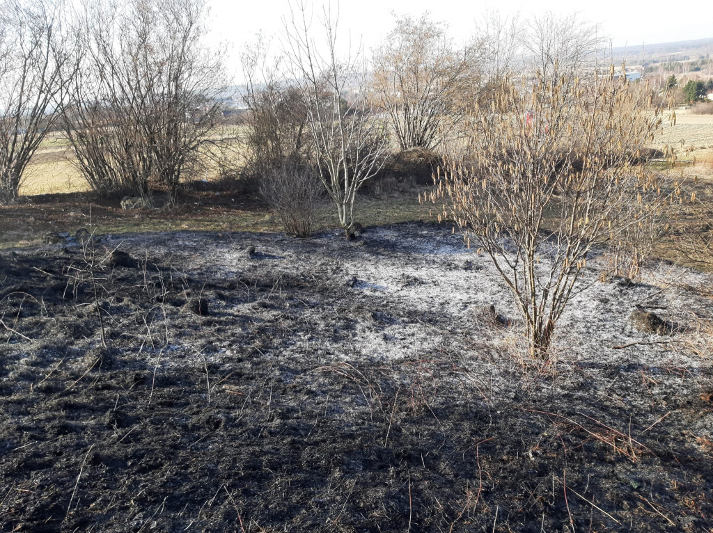 Pożary traw. Sobotnia kumulacja