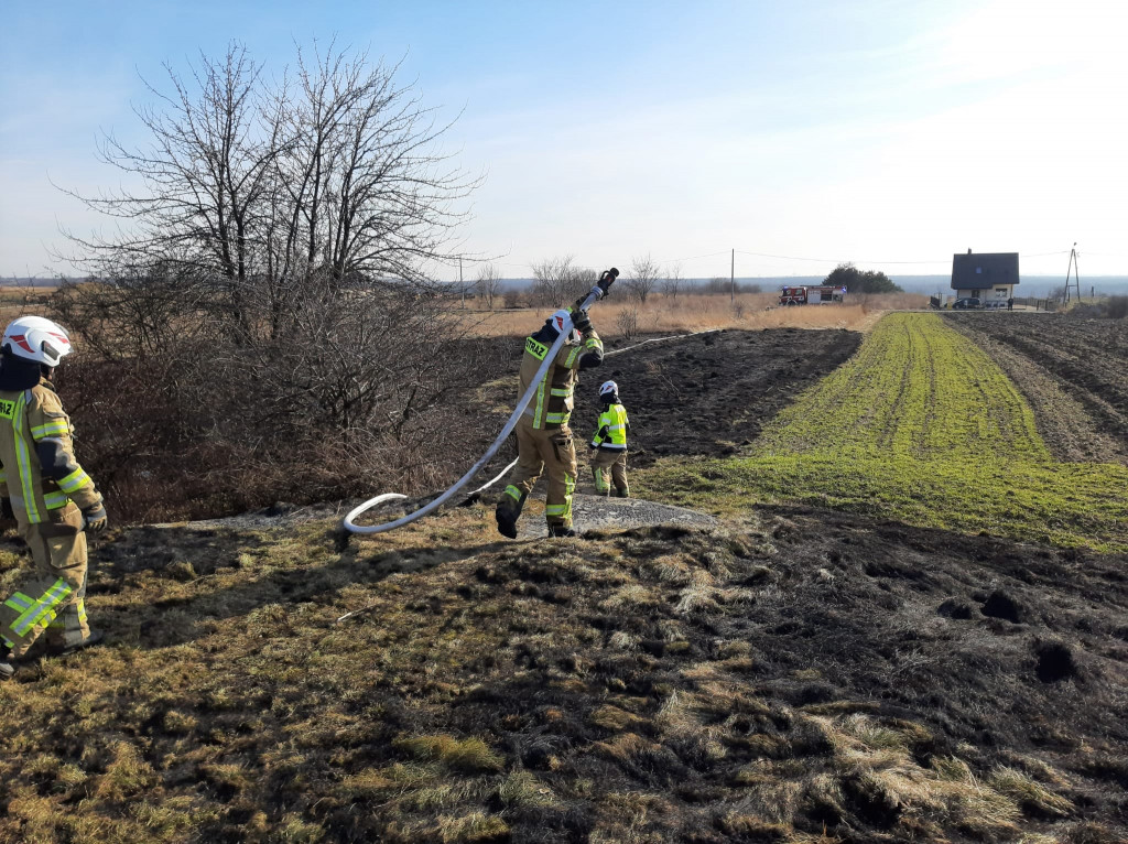 Pożary traw. Sobotnia kumulacja