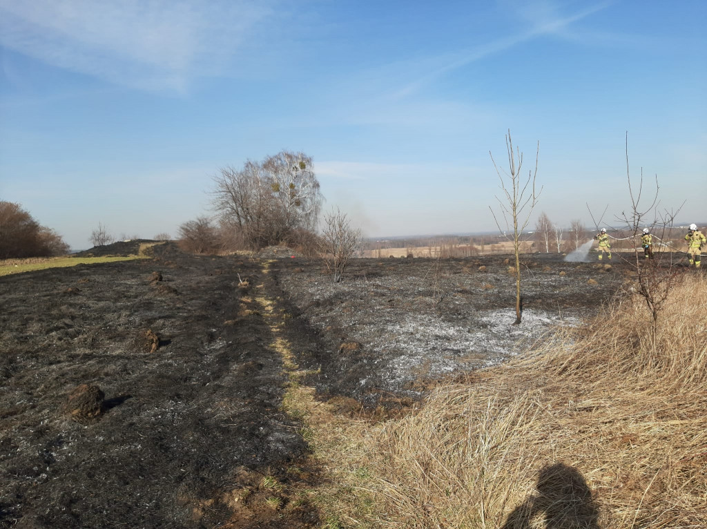 Pożary traw. Sobotnia kumulacja