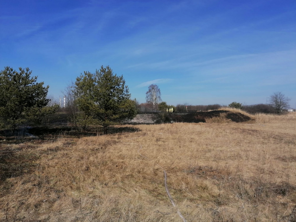 Pożary traw. Sobotnia kumulacja