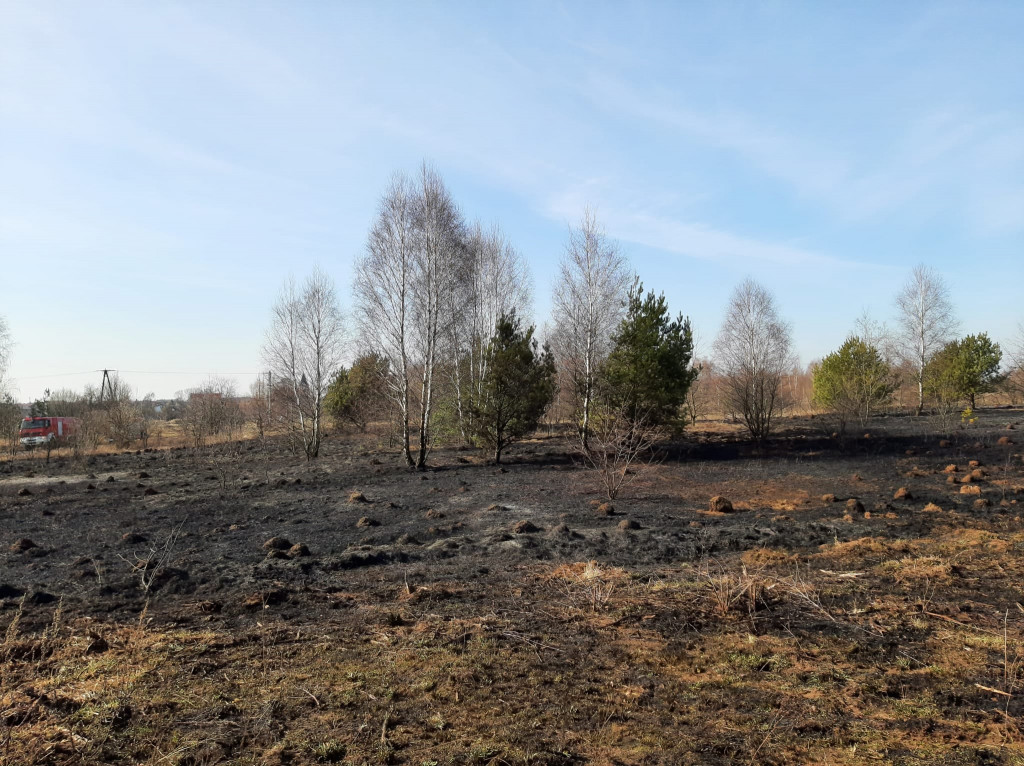 Pożary traw. Sobotnia kumulacja