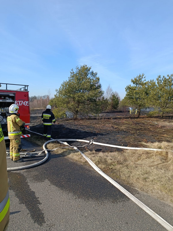 Pożary traw. Sobotnia kumulacja